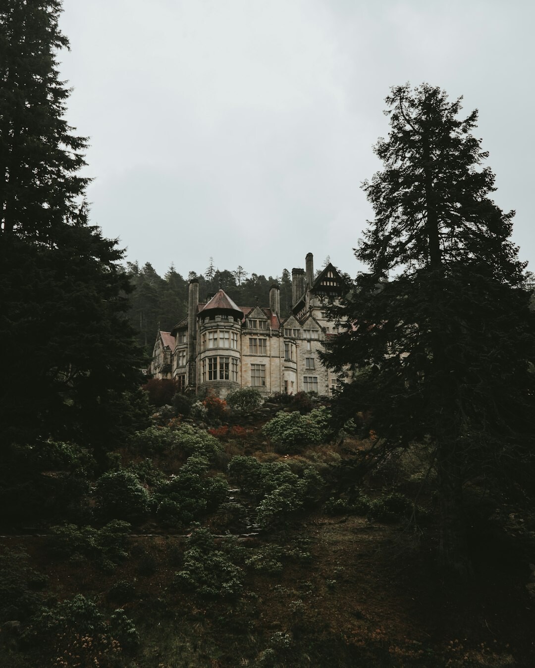 old haunted house in forest